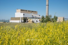 20210701PrairieOasis00026