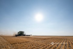 20210909MadgeHarvestHS00012