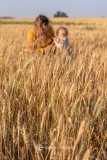 20210803HarvestSkyTopImages00032